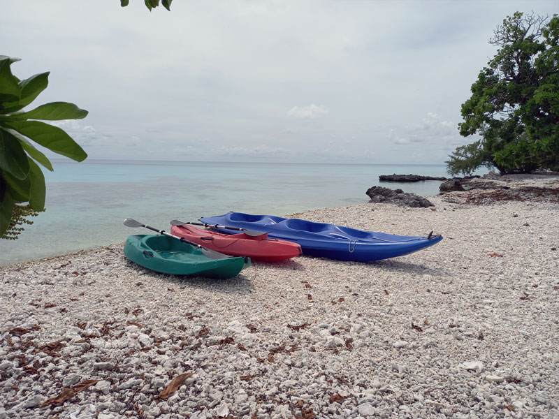 Kayaks